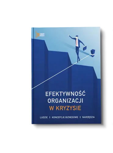 Okładka: Efektywność organizacji w kryzysie