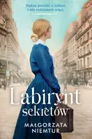 Okładka: Labirynt sekretów