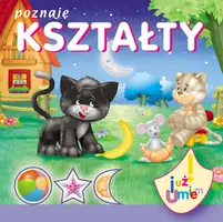 Okładka: Poznaję kształty