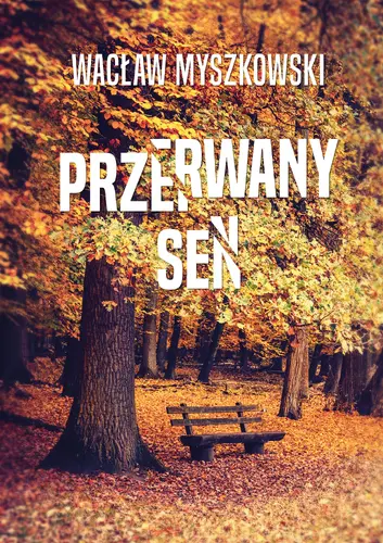 Okładka: Przerwany sen