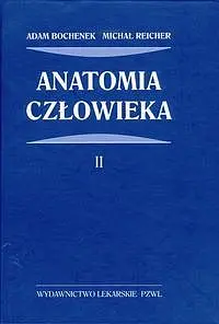 Okładka: Anatomia czlowieka. Tom 2