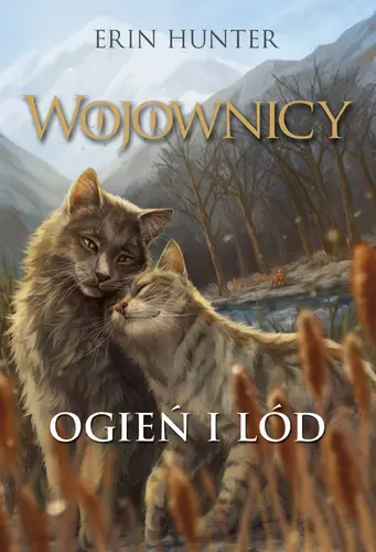 Okładka: Ogień i lód TW. OPR./Nowa Baśń/