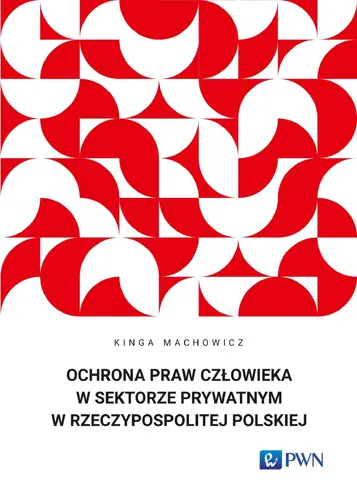 Okładka: Ochrona praw człowieka w sektorze prywatnym w Rzeczypospolitej Polskiej