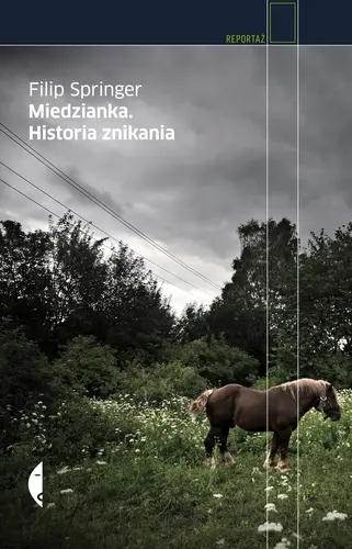 Okładka: Miedzianka. Historia znikania