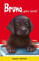 Okładka: Bruno, gdzie jesteś?