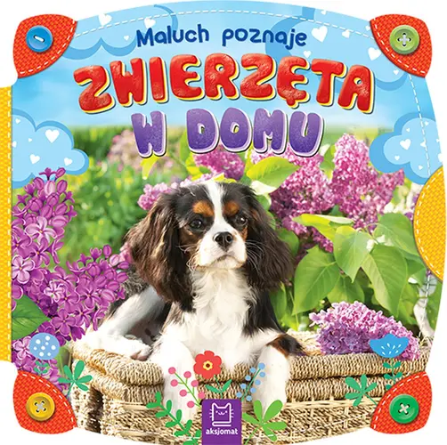 Okładka: Maluch poznaje zwierzęta w domu
