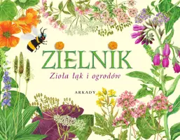 Okładka: Zielnik. Zioła łąk i ogrodów