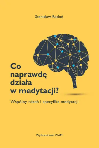 Okładka: Co naprawdę działa w medytacji?