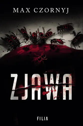 Okładka: Zjawa