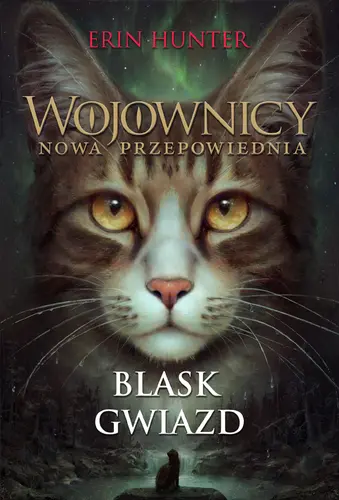 Okładka: Blask gwiazd /Nowa Baśń/