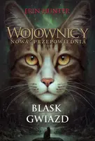 Okładka: Blask gwiazd /Nowa Baśń/