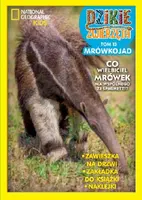 Okładka: Dzikie Zwierzęta cz.13 Mrówkojad