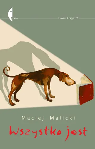 Okładka: Wszystko jest