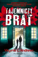 Okładka: Tajemniczy brat