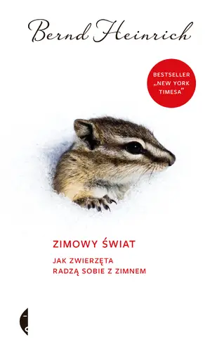 Okładka: Zimowy świat