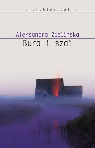 Okładka: Bura i szał