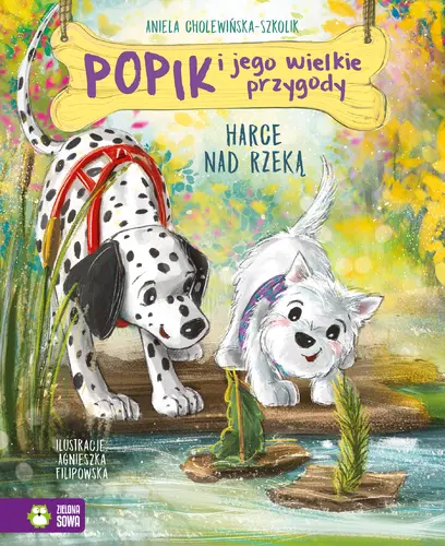 Okładka: Popik i jego wielkie przygody. Harce nad rzeką