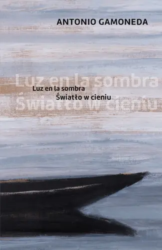 Okładka: Światło w cieniu