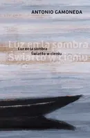 Okładka: Światło w cieniu