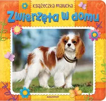 Okładka: Zwierzęta w domu. Książeczka malucha