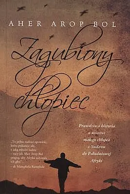 Okładka: Zagubiony chłopiec