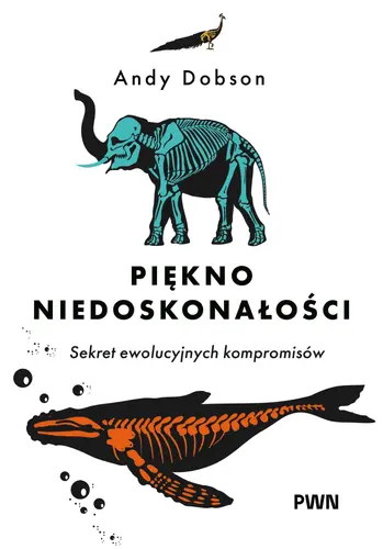 Okładka: Piękno niedoskonałości