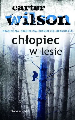 Okładka: Chłopiec w lesie