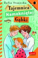 Okładka: Tajemnica namokniętej gąbki