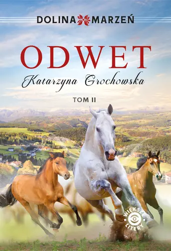 Okładka: Dolina marzeń