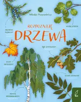 Okładka: Młodzi przyrodnicy. Rozpoznaję drzewa