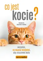 Okładka: Co jest kocie? Wszystko, co musisz wiedzieć, aby zrozumieć swojego kota (wyd. III)
