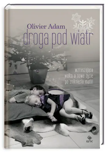 Okładka: Droga pod wiatr
