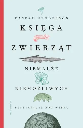 Okładka: Księga zwierząt niemalże niemożliwych