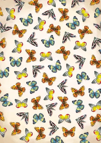 Okładka: Notatnik. Motyle