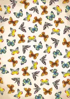 Okładka: Notatnik. Motyle