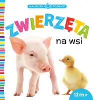 Okładka: MALUSZEK POZNAJE Zwierzęta na wsi