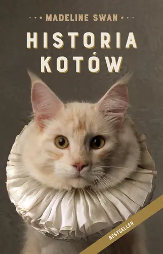 Okładka: Historia kotów
