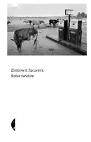 Okładka: Końce światów