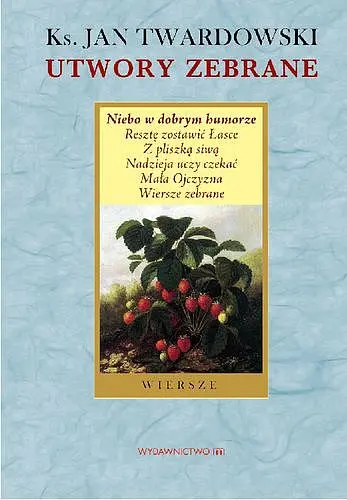 Okładka: Wiersze niebo w dobrym humorze