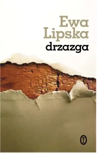 Okładka: Drzazga