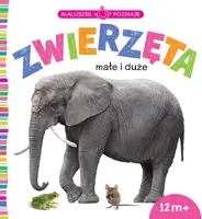 Okładka: Maluszek poznaje. Zwierzęta małe i duże