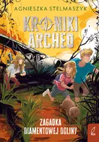 Okładka: Kroniki Archeo. Zagadka Diamentowej Doliny. Tom 5