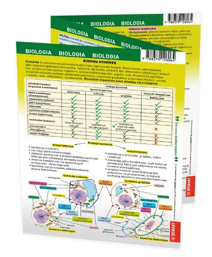 Okładka: Biologia. MAXI ściąga