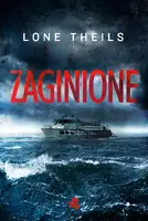 Okładka: Zaginione