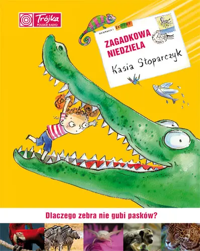 Okładka: Zagadkowa niedziela