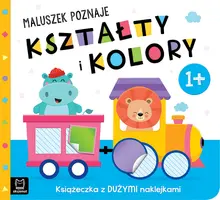 Okładka: Maluszek poznaje kształty i kolory. Książeczka z dużymi naklejkami 1+