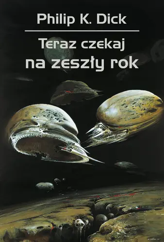 Okładka: Teraz czekaj na zeszły rok