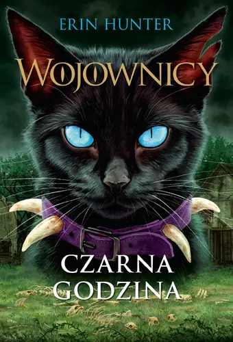 Okładka: Czarna godzina, Wojownicy, Tom VI