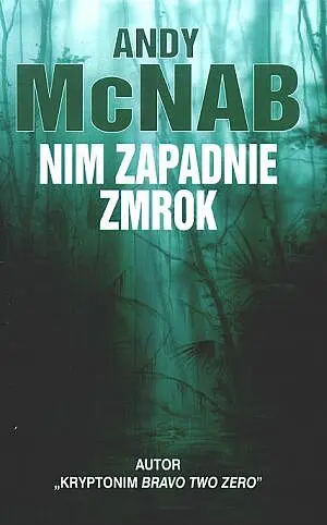 Okładka: Nim zapadnie zmrok