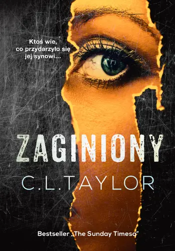 Okładka: Zaginiony